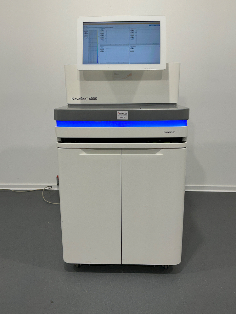 Image of Illumina NovaSeq 6000 Sequencing Analysis